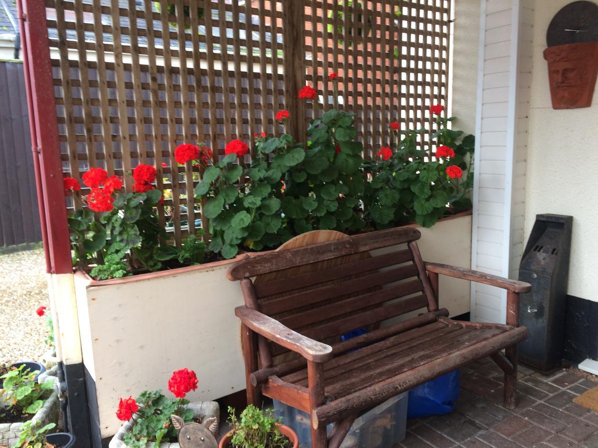 Southcombe Guesthouse Сідмут Екстер'єр фото